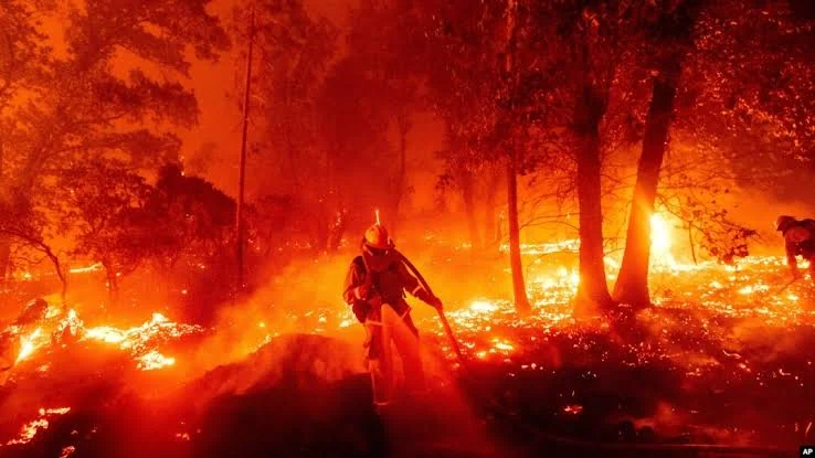California Wildfires Force 250,000 Evacuations in Record 118F Heat California Wildfires Force 250,000 Evacuations in Record 118F Heat